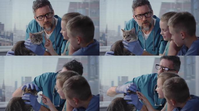 兽医向猫大师解释哈基米猫咪看病蓝大褂