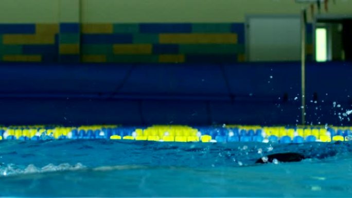 游泳专家在比赛前在游泳池训练，游泳让你保持健康，是他们训练身体所有肌肉的运动之一。