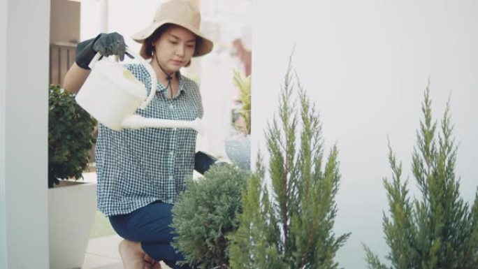 年轻的亚洲妇女在家里可爱的药草园里给植物浇水。