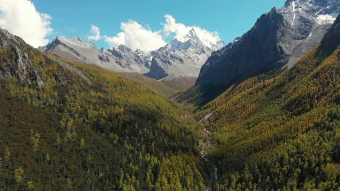 中国亚丁自然保护区秋季山谷的4k鸟瞰图和多莉。