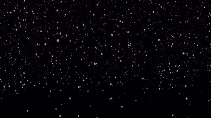 雪孤立，在4k的黑色背景上落下逼真的动画，用于合成。慢动作，大小雪花，阿尔法频道，激烈，风暴 (可循