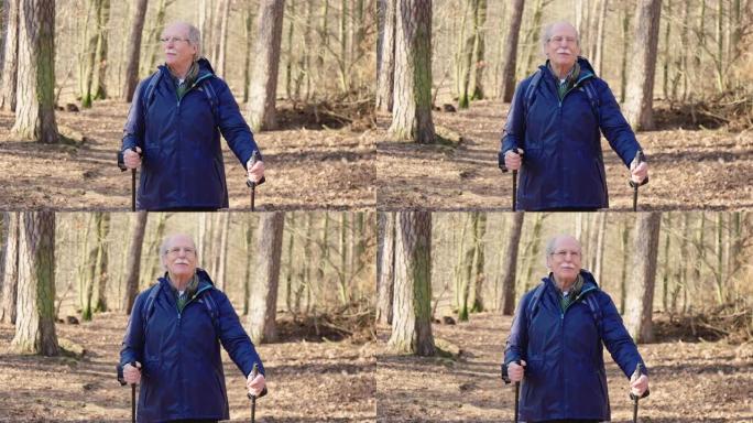 森林中活跃的老年人徒步旅行的肖像