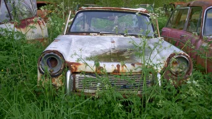 汽车垃圾场。mid-20th世纪的老生锈的汽车覆盖着丰富的绿草。4K