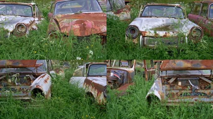汽车垃圾场。mid-20th世纪的老生锈的汽车覆盖着丰富的绿草。4K