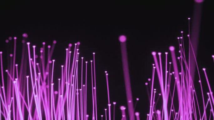 抽象技术背景。从二极管到一束的光信号分布的光纤动画。用于高速互联网连接