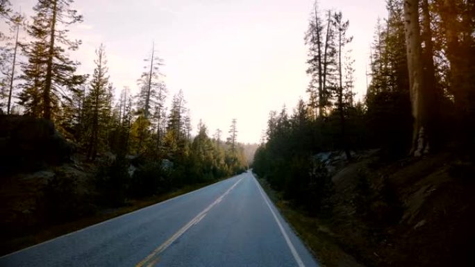 在约塞米蒂慢动作的日落时分，带摄像头的汽车沿着美丽的宁静森林道路在松树之间行驶。
