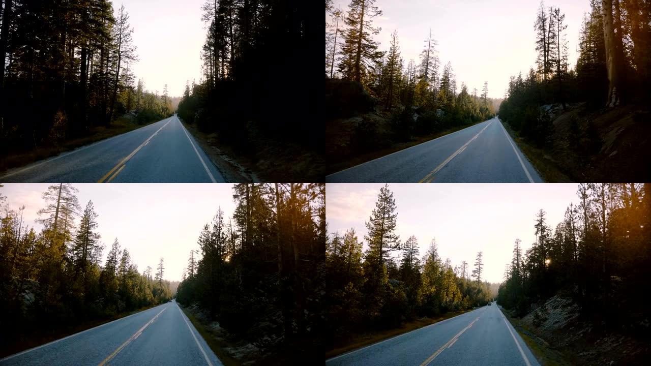 在约塞米蒂慢动作的日落时分，带摄像头的汽车沿着美丽的宁静森林道路在松树之间行驶。