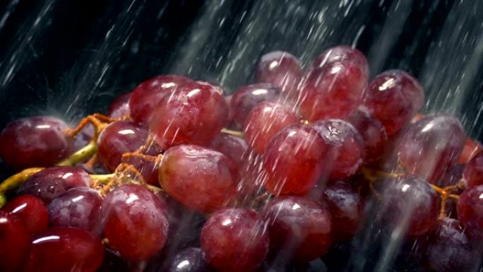 红葡萄在水雾中洗净