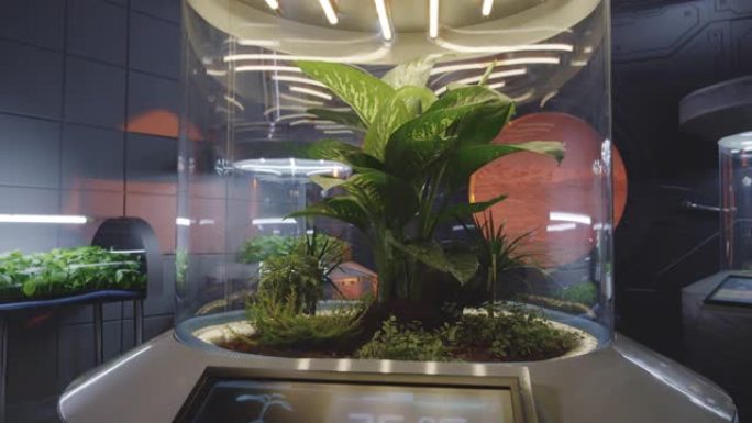 火星基地上的植物孵化器
