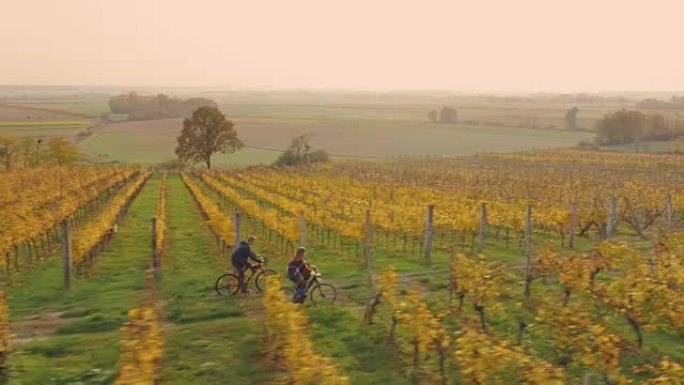 空中年轻夫妇沿着葡萄园骑自行车