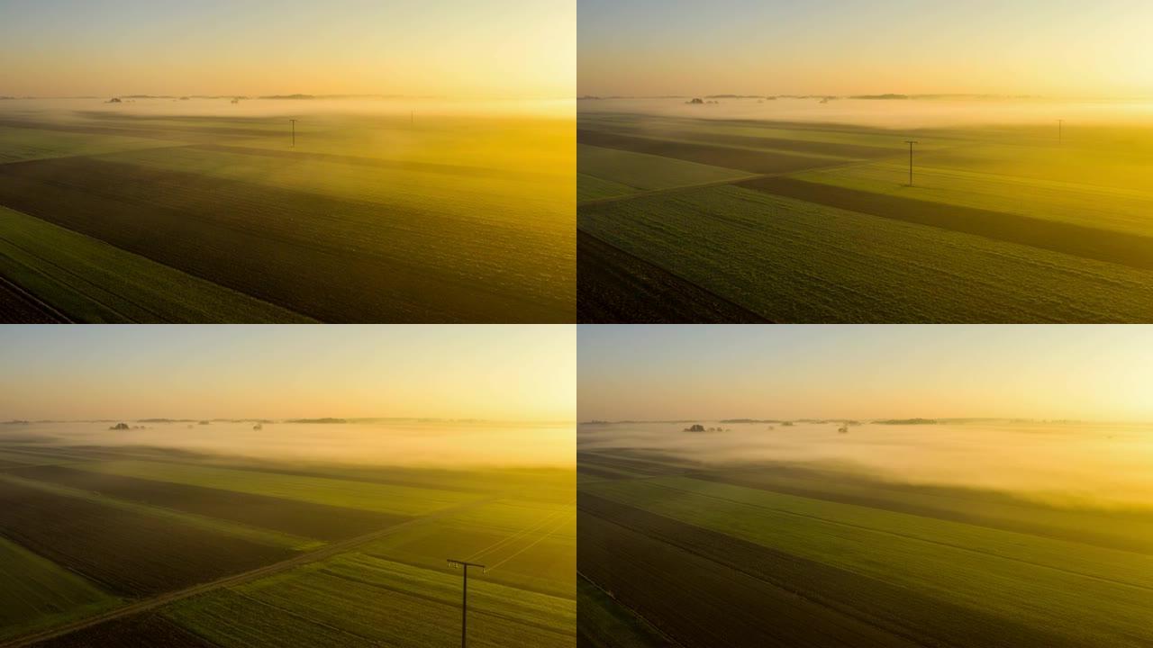 H/L雾漂浮在潘诺尼亚平原的田野上