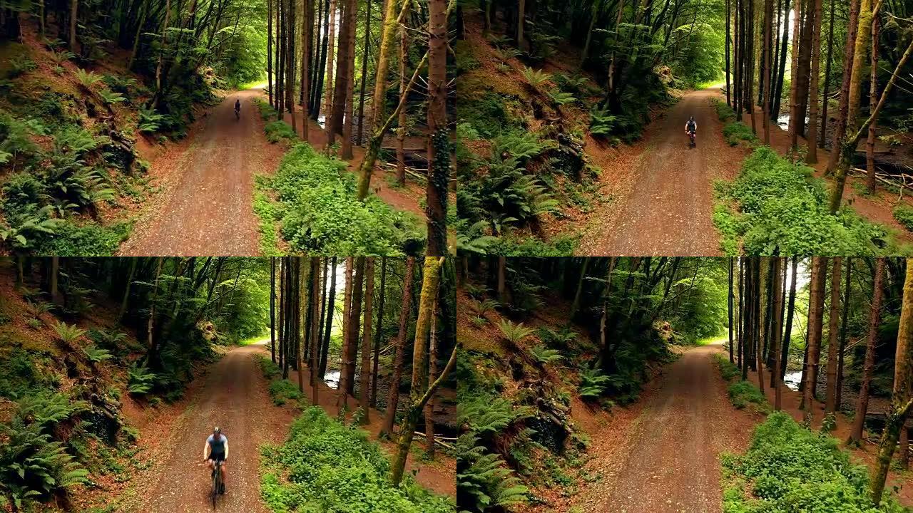 森林里的人骑自行车4k
