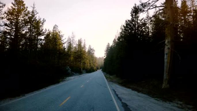 在约塞米蒂慢动作的日落时分，汽车在美丽安静的森林路上行驶在高大的松树之间的惊人视点。
