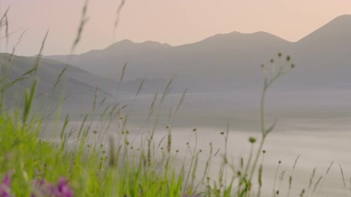 WS风景秀丽的山脉和雾谷，在草地和野花之外，Castelluccio，翁布里亚，意大利