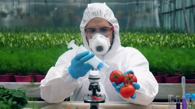 绿化工人正在用化学药品泵送蔬菜。转基因概念。