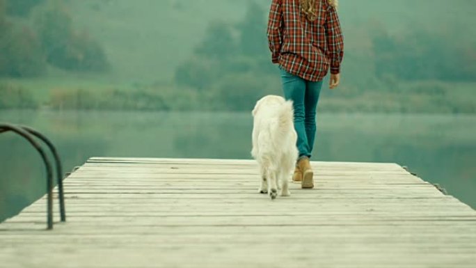 女人和狗在湖边的码头上散步