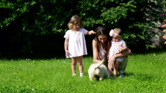 温柔的母亲，有一个孩子，在阳光明媚的日子躺在草地上，在美丽的花园里和一只可爱的小狗金毛猎犬玩耍