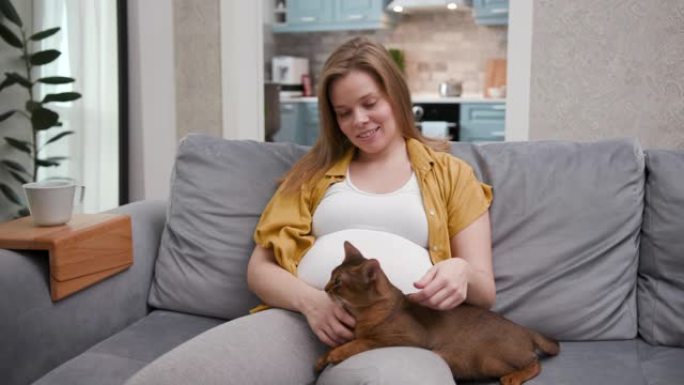 宁静的怀孕女性坐在舒适的沙发上，在宜人的客厅里和可爱的猫在一起。快乐笑20多岁的女孩休息，看着相机。