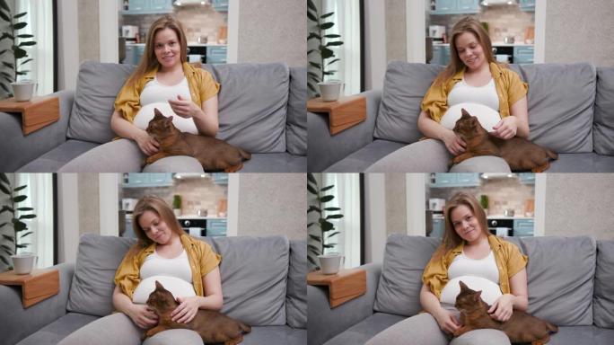 宁静的怀孕女性坐在舒适的沙发上，在宜人的客厅里和可爱的猫在一起。快乐笑20多岁的女孩休息，看着相机。
