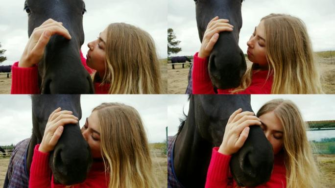 女人在4k牧场亲吻马
