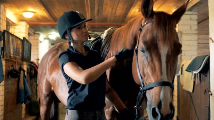 一个女骑士照顾一匹马，特写。