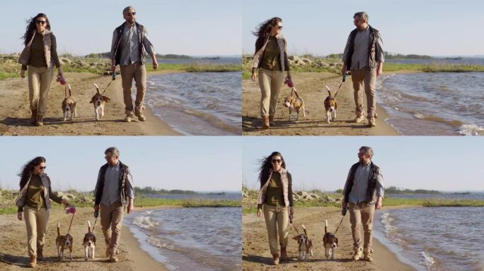 旅游夫妇喜欢带着狗沿着湖岸散步