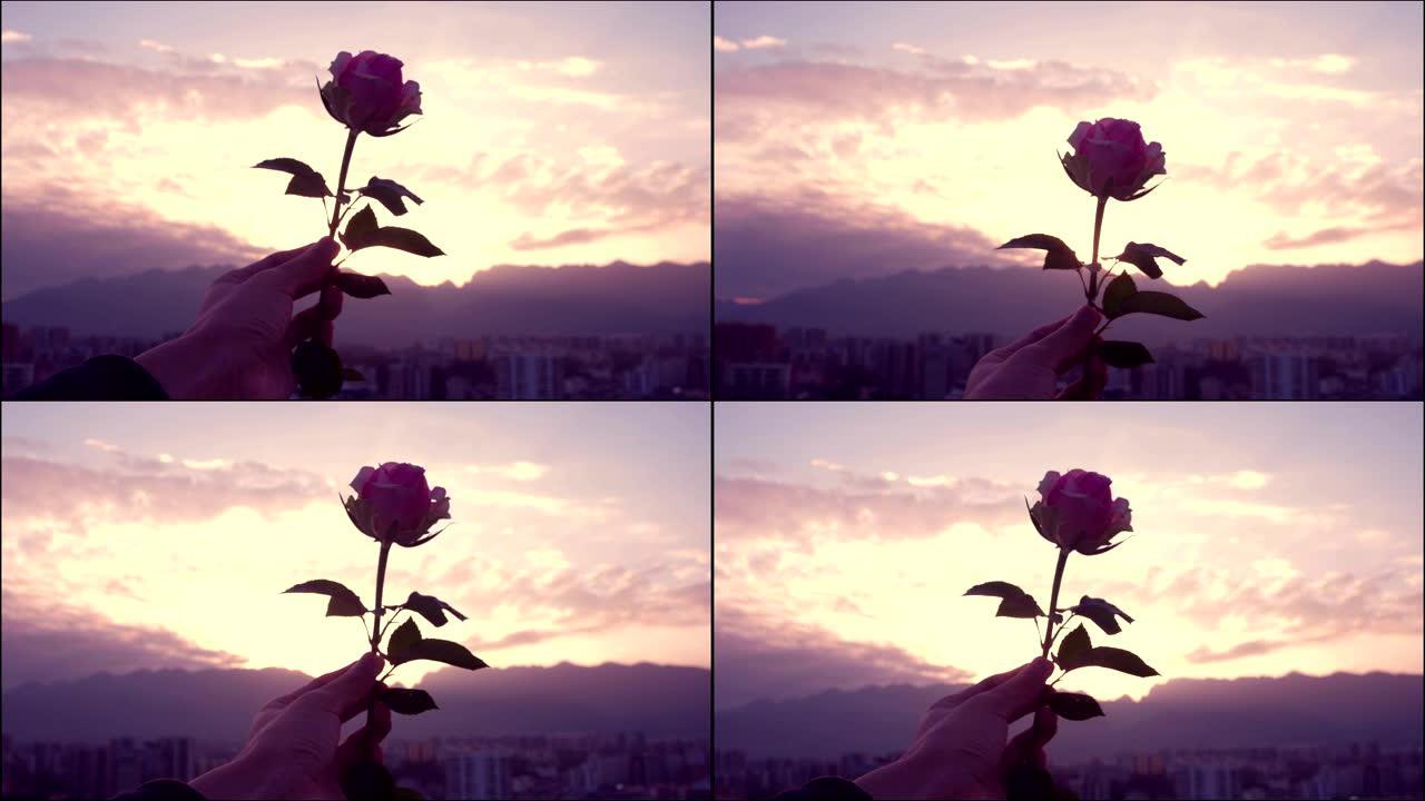日落时手捧玫瑰