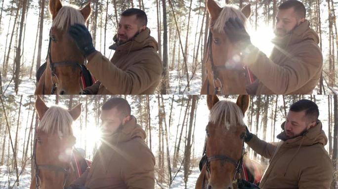男人在冬季森林中爱抚马