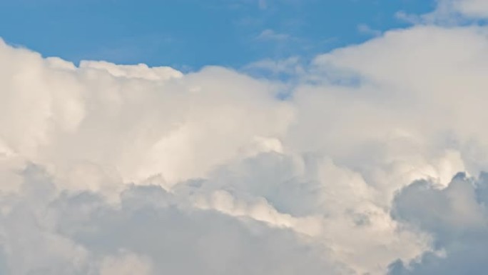 延时云移动蓝天风起云涌浓积云积雨云