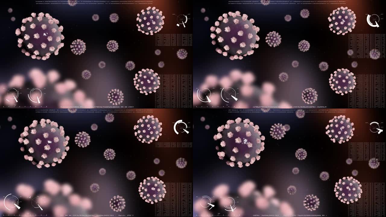 冠状病毒KOVID-19。疫。许多带有粉红色刷子的紫色病毒细胞在数据处理的现实黑暗背景上旋转。相机用