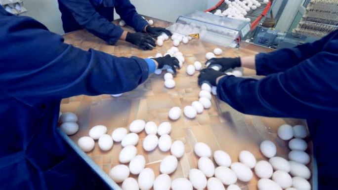 延时: 家禽养殖场的鸡蛋包装过程，关闭。