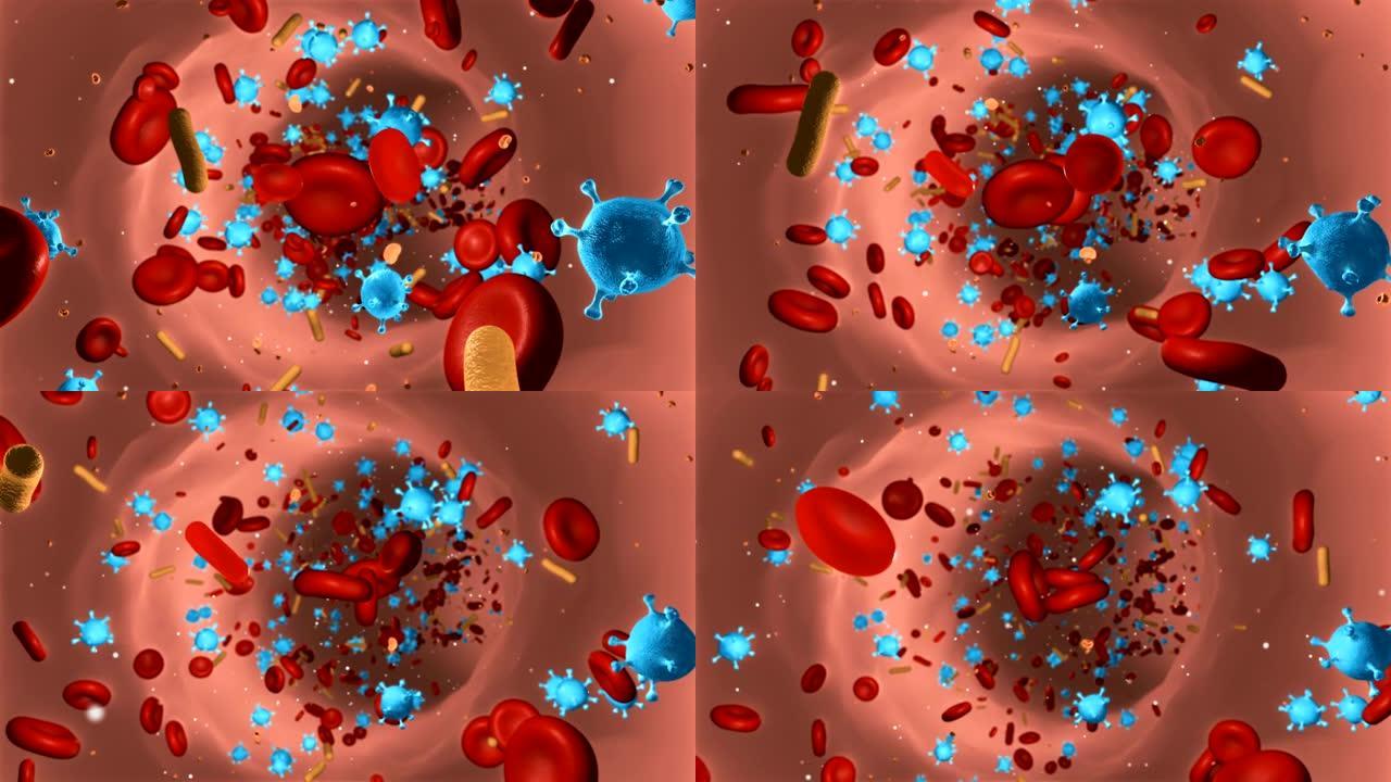 病毒感染的血细胞生命科学基因工程血液循环