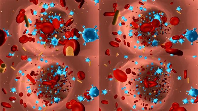 病毒感染的血细胞生命科学基因工程血液循环