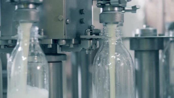 工厂输送机正在旋转和填充奶瓶。用牛奶灌装瓶子的自动化过程。