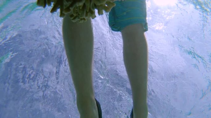 水下: 在马尔代夫度假的人在曾经充满活力的珊瑚礁周围潜水