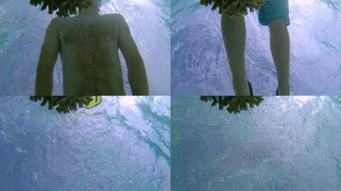 水下: 在马尔代夫度假的人在曾经充满活力的珊瑚礁周围潜水