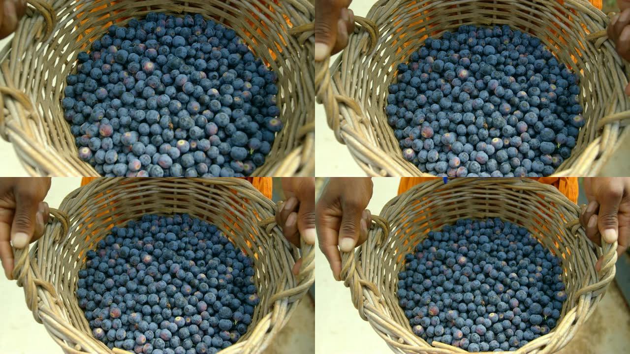 工人在篮子里拿着蓝莓4k