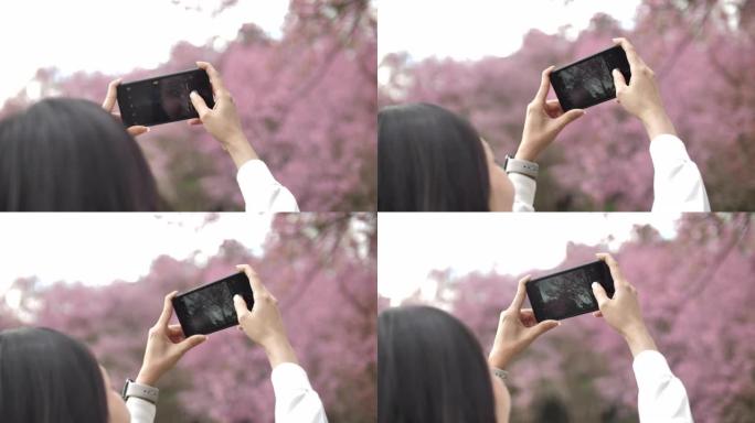 日本亚洲女性在智能手机上拍摄樱花