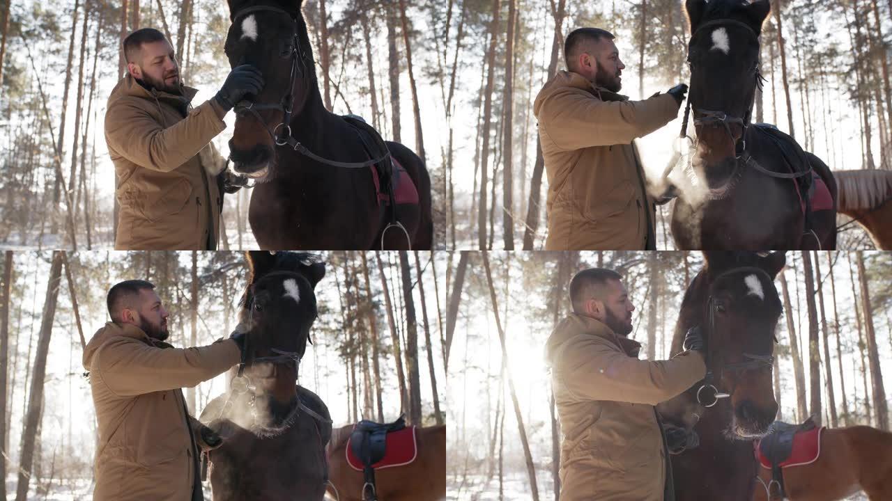 冬季那天，男人在森林里爱抚马