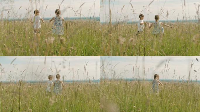无忧无虑的男孩和女孩在阳光明媚，田园诗般的乡村田野中奔跑