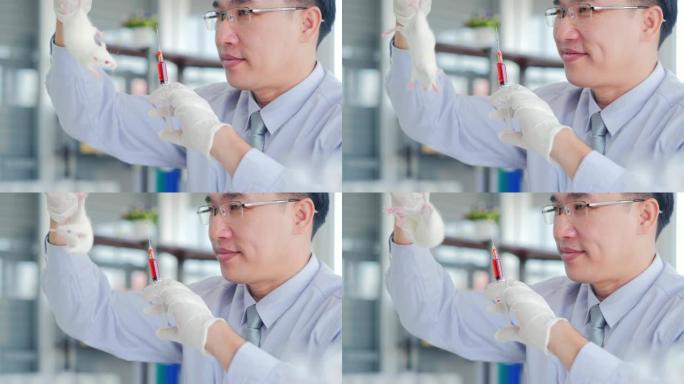 实验室小鼠实验室大鼠的疫苗测试。科学实验室