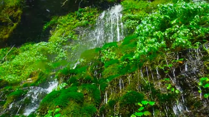 瀑布落在苔藓上瀑布青苔高山流水绿水青山
