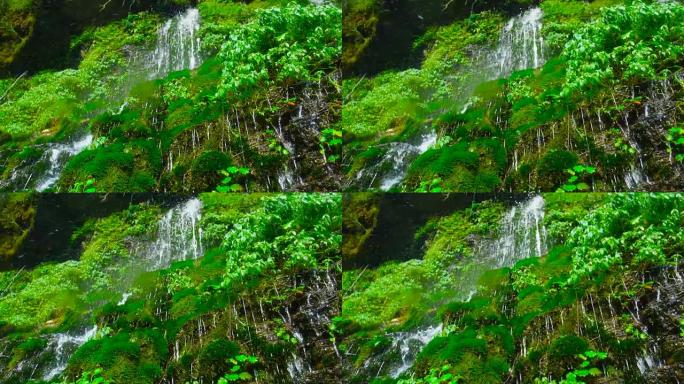 瀑布落在苔藓上瀑布青苔高山流水绿水青山