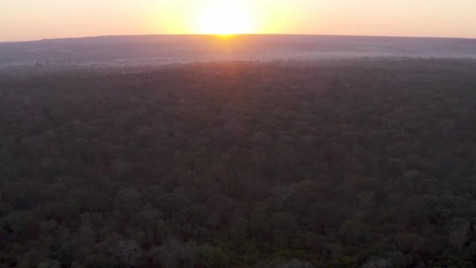 在非洲中部热带雨林中，有大型猴面包树的树顶上的太阳落山的空中飞行