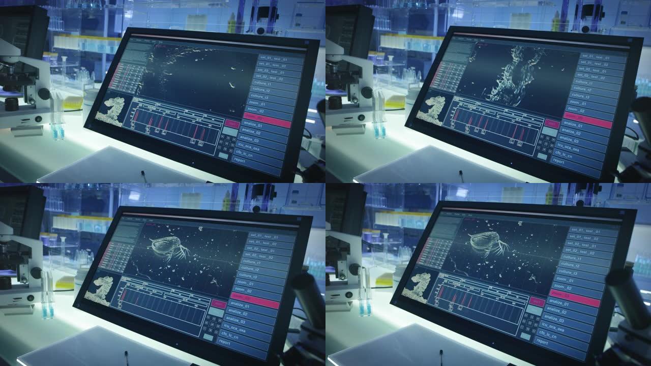 科学实验室。电脑屏幕上的水蚤。