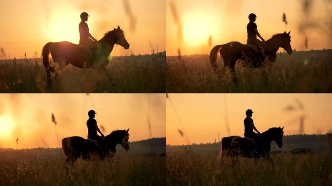 一个女骑士慢慢走了。一个女人在一个大田里慢慢骑马。