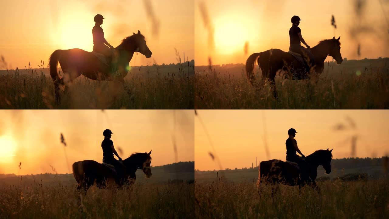 一个女骑士慢慢走了。一个女人在一个大田里慢慢骑马。