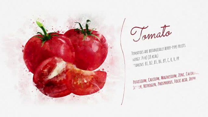 关于番茄的动画卡片