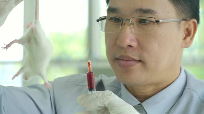 医学研究科学家拿着实验室老鼠，准备注射注射器。DNA研究、疫苗和药物测试。