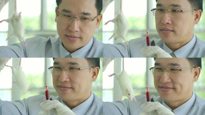 医学研究科学家拿着实验室老鼠，准备注射注射器。DNA研究、疫苗和药物测试。